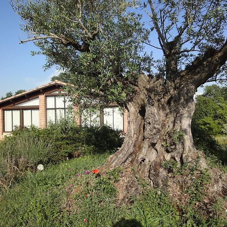 Chalet Domaine De Combe Ramond Hotel Veilhes Kültér fotó